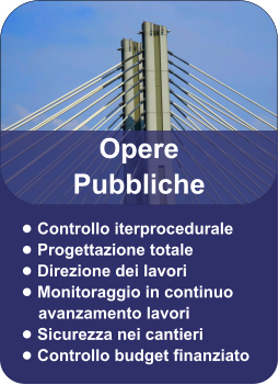 •	Controllo iterprocedurale •	Progettazione totale •	Direzione dei lavori •	Monitoraggio in continuo avanzamento lavori •	Sicurezza nei cantieri  •	Controllo budget finanziato Opere Pubbliche